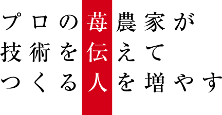 increase プロの苺農家が技術を伝えてつくる人を増やす