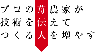 increase プロの苺農家が技術を伝えてつくる人を増やす